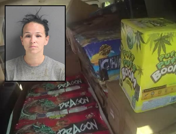A fireworks store employee is charged with grand theft after she was caught stealing thousands of dollars worth of fireworks from the business to resell on her own.