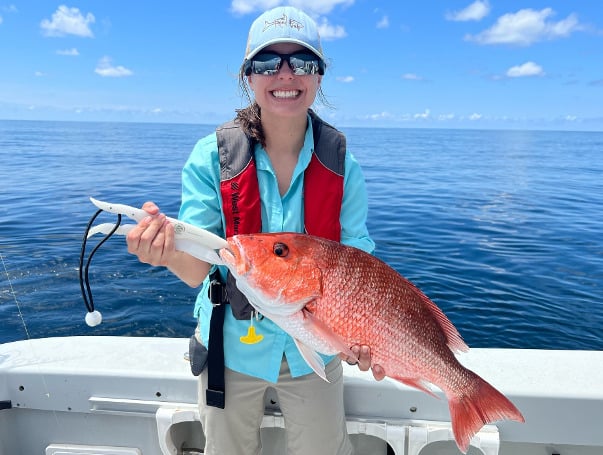 The recreational red snapper season will start June 17 in Gulf state and federal waters off Florida and remain open through July 31 with 12 days in the fall.