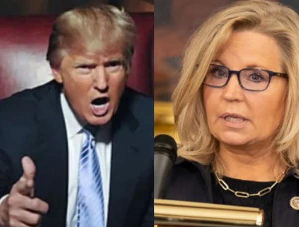 Last week a poll by the right-leaning Club for Growth showed that the Trump-endorsed Republican challenger for Wyoming’s lone congressional seat had opened a massive lead over incumbent Rep. Liz Cheney.