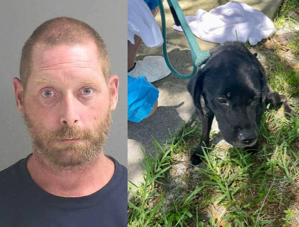 A Florida man is behind bars after police find three dead dogs locked in cages and a fourth dog they tried to save.
