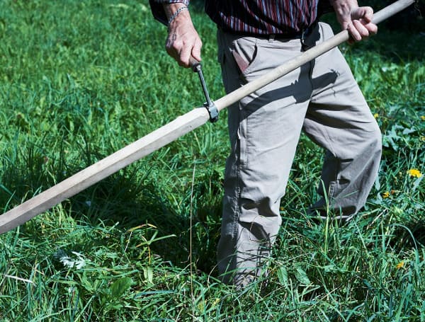 Grass Cutting Mowing