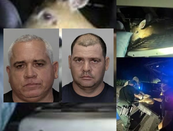 Two Florida men were arrested Sunday after deputies found a live, but injured deer in their truck following a traffic stop in Marathon.