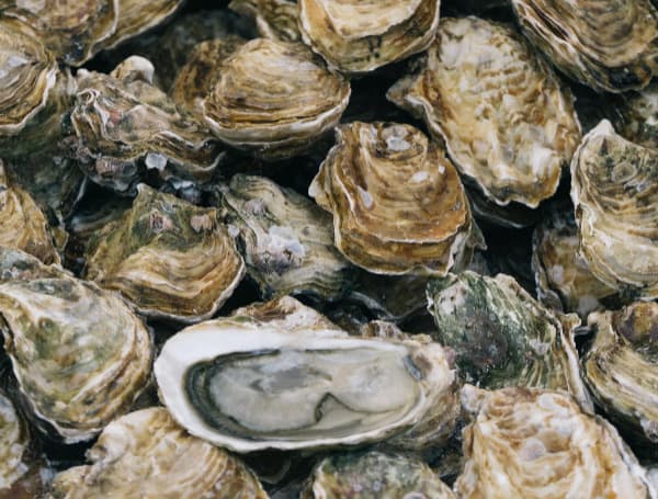 With a new state law addressing the clean-up of two chemical compounds that have been widely used by industries, a Florida International University study says the substances have been found in oysters in Biscayne Bay, the Marco Island area, and Tampa Bay.