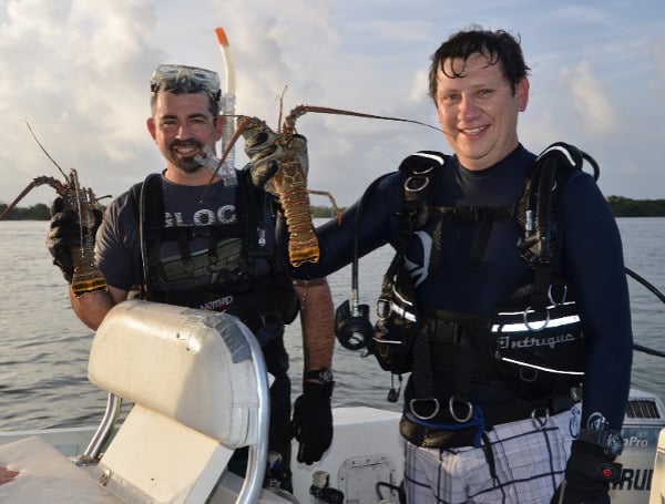 The 2022 Florida spiny lobster season opens with the two-day recreational mini-season on July 27 and 28, followed by the regular commercial and recreational lobster season, which starts Aug. 6 and runs through March 31, 2023.