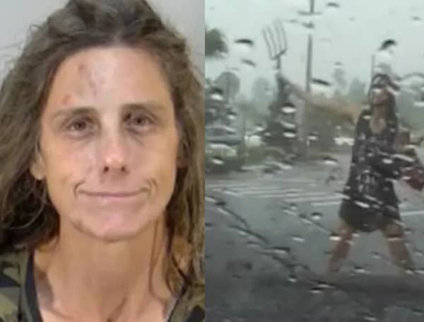 Video released by Florida Highway Patrol shows the crazy arrest of a Central Florida woman who is accused of running around outside a Publix store with a pitchfork and a black whip, and trying to sell teddy bears. 