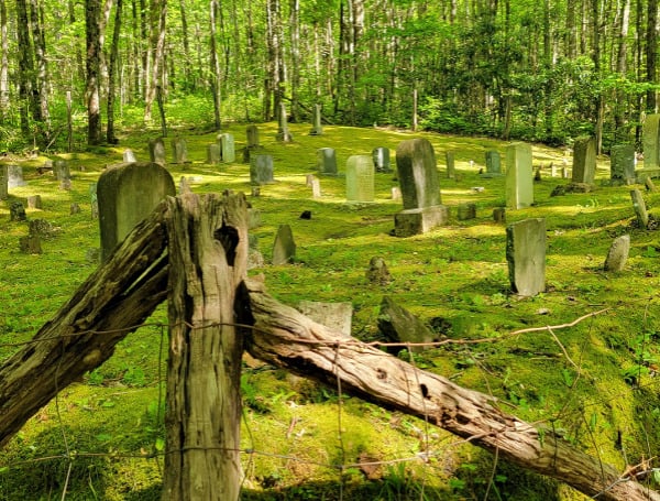 There's a little-known vehicle drive through nature trail just off of the main Parkway in Gatlinburg, TN at the Ripley's Believe It Or Not Museum. It's virtually a mini-sized Cades Cove at 4.5 miles long in a lonely section of the