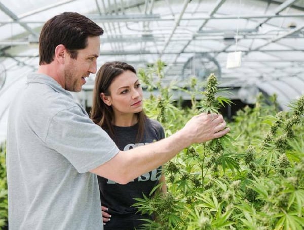 Florida Democratic gubernatorial candidate Nikki Fried has long championed medical marijuana, which Florida voters legalized in 2016.