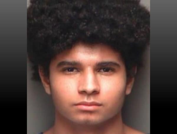 A Palm Harbor teen has been arrested after a double stabbing of his mother and another female victim.