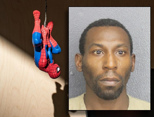 A Florida man wearing a Spider-Man costume has been arrested after hitting a woman in the back of her head, stealing her cash, and riding off on his bike.