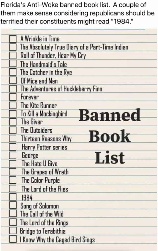 The claim was made by an account called "Freesus Patriot," whose owner declined to reveal the source of the list. Freesus Patriot just posted “Florida's Anti-Woke banned book list,” which included titles such as “To Kill a Mockingbird,” “The Catcher in the Rye,” and “Of Mice and Men,” and Huckleberry Finn.”
