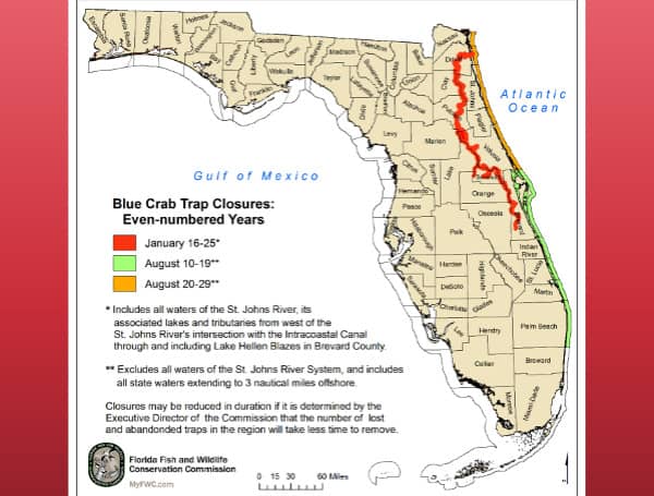 Recreational and commercial blue crab traps must be removed from certain state waters on the east coast of Florida prior to Aug. 10, the first day of two 10-day trap closures occurring this month.