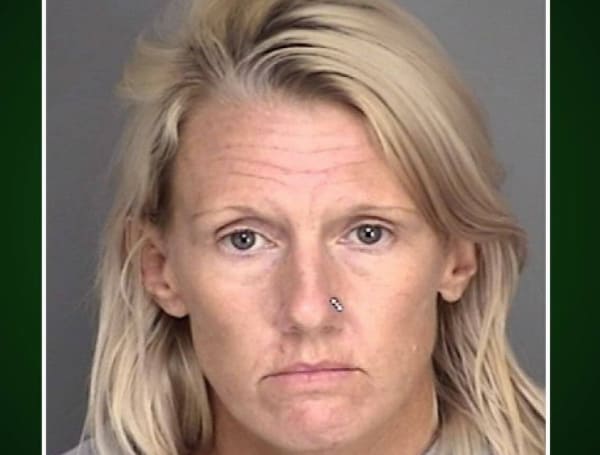 A former professional caregiver in Florida has been arrested and charged with more than 30 felonies after it was discovered she had been stealing from one of her clients.