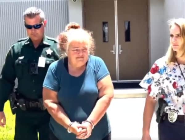 A Florida woman has been charged with 11 counts of sexual activity involving animals after showing the videos to an inmate during visitation, according to investigators.