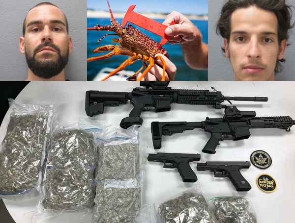Two Florida men were arrested following a search warrant Thursday at a Key Largo residence after Detectives and Deputies found more than four pounds of marijuana, guns, other drugs, and an undersized lobster.