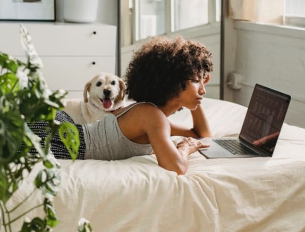 Getting to enjoy a lazy Sunday afternoon is an opportunity that should never be missed, but figuring out what to do during your relaxing day off can be a little tricky.