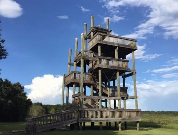 Enjoy views high above Crews Lake Wilderness Park once again. Pasco County Parks, Recreation, and Natural Resources is excited to announce construction on a new observation tower beginning Monday, August 15, 2022.