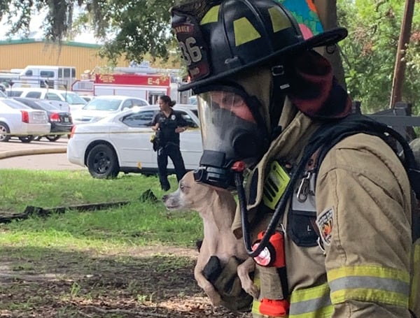 The Winter Haven Fire Department, responded to a structure fire this morning on Farnol St. in Winter Haven. There were no reported injuries to civilians or firefighters.