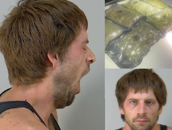 A Florida man is being held on no bond after officers located over 6 pounds of marijuana in the man's vehicle, while he is on probation