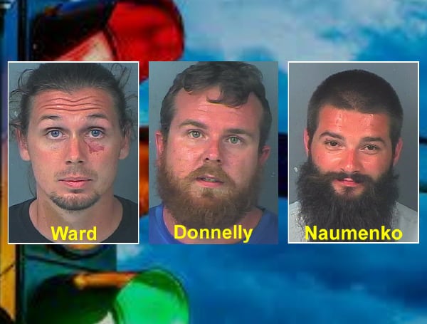 Three Florida men have been arrested after an off-duty detective caught the cutting down traffic lights.