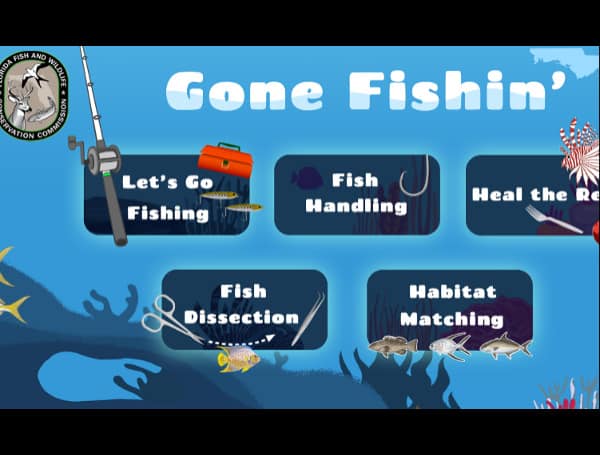 As students return to the classroom for the new school year, educators and parents can encourage continued learning with Gone Fishin’ games. 