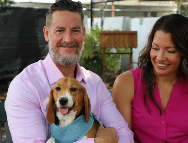 Congressman Greg Steube (R-Fla.) visited a beagle who was rescued from the mass-breeding facility, Envigo, on Friday.