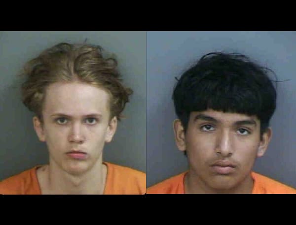 Two Florida teens have been arrested after stealing two vehicles and fleeing from one deputy,