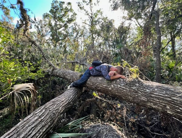 Hiker Lost Manatee River State Park