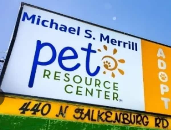 Two little dogs soaked and matted in urine and feces have been rescued by Hillsborough County’s Animal Control Services and Pet Resource Center.