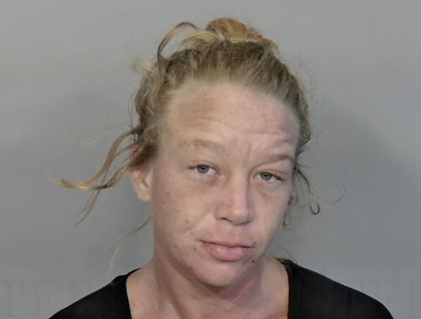 A 30-year-old Florida woman armed with a butcher knife was arrested Monday after threatening her ex-husband.