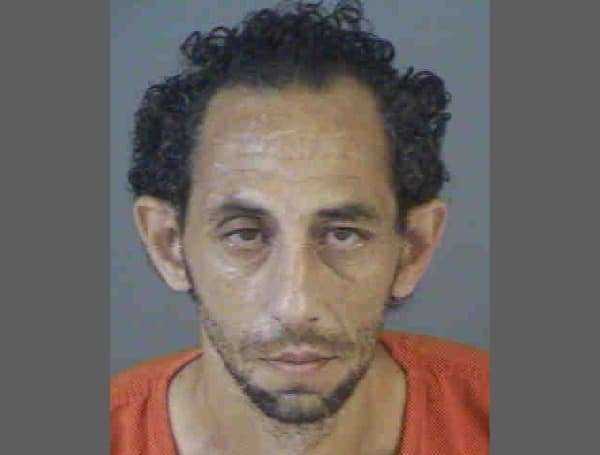 A Florida man was arrested on multiple felonies Thursday after an investigation found he cashed or tried to cash thousands of dollars worth of stolen business checks.