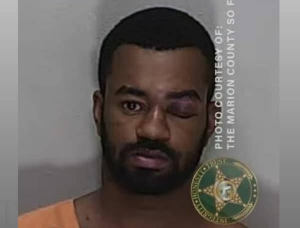 A Florida man has been arrested for DUI and animal cruelty after punching a dog and throwing it down steps.