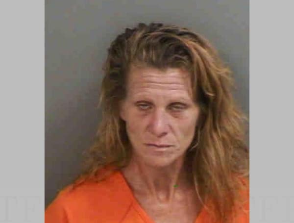 A Florida woman is in jail facing a dozen felony charges an investigation found she broke into a vehicle and stole credit cards that she used to pay for taxi rides and other purchases.