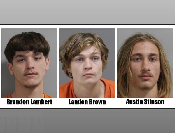 Fingerprints recovered from one of four vehicles that were burgled near Lakeland on October 26, 2022, led to the identification of a suspect, and eventually the arrests of all three suspects involved, according to Polk County Sheriff's Office.