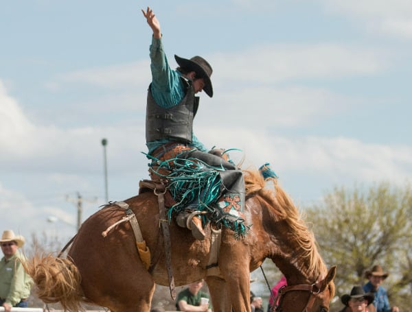 The City of Pinellas Park is hosting its Annual Public Works BBQ Cook-Off and Rodeo at England Brothers Park on November 5th, 2022.