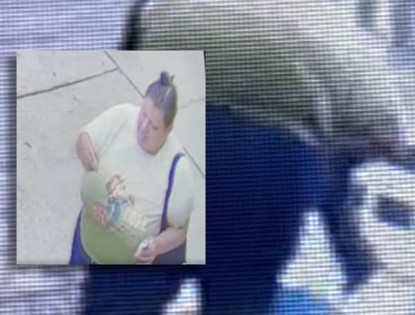 Police in Lakeland are searching for a woman who stole a puppy by placing it in her purse and fleeing the store location.