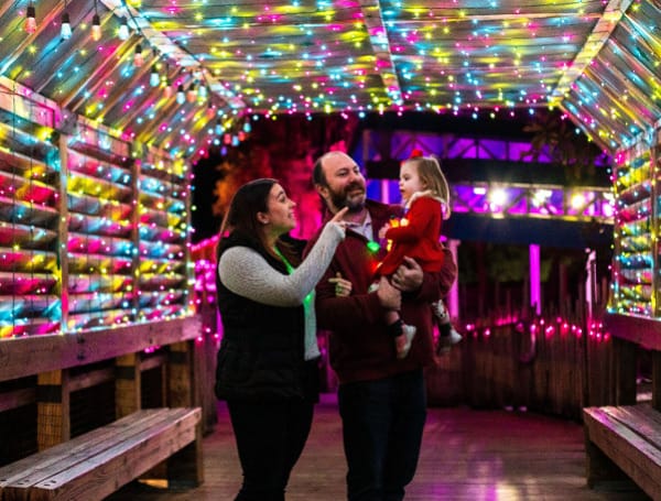 The holiday season is just around the corner, and ZooTampa is getting ready for its most festive and brightest Christmas in the Wild to date.