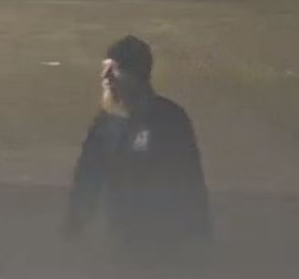 Tampa Police Detectives are working to identify two suspects who stole over $1,000 worth of welding cable and fled in a U-Haul with a walrus on the side.