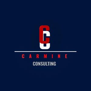 12056014 carmine consulting llc 300x300 1