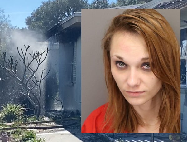 Investigators with Clearwater Fire & Rescue and the Clearwater Police Department have determined that a house fire that killed two cats, was set intentionally.