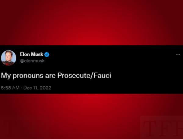Twitter owner Elon Musk issued his own provocative tweet on Sunday, rallying conservatives in the process.