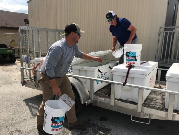 The Florida Fish and Wildlife Conservation Commission’s (FWC) Marine Fisheries Enhancement Center has been working with school administrators, teachers, and students to bring Aquaculture and Stock Enhancement Research into the classroom for more than two decades. 