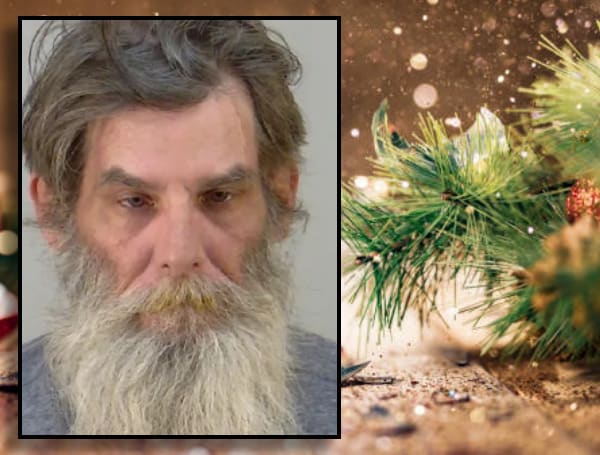 A Florida man was arrested after he allegedly hit his wife with a Christmas tree after the woman asked for help with making dinner, according to police.