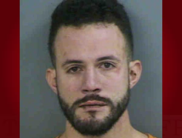 A Florida man "bailed" from his vehicle and swam across a canal to escape deputies who tried to make a traffic stop, investigators say.