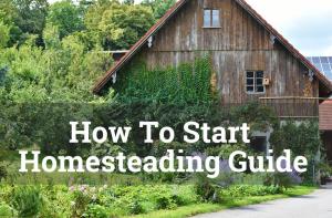 12643547 homesteading guide 300x197 1