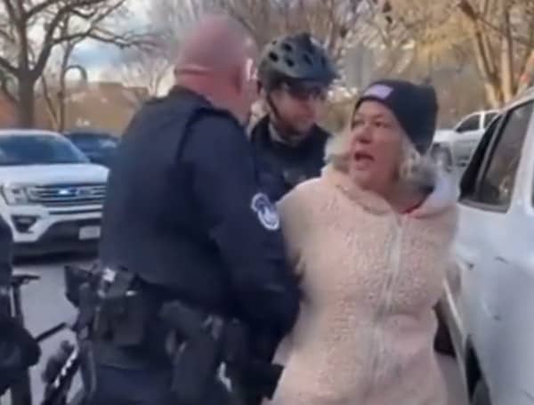 Apparently, that crackdown on crime in Washington, D.C., is working out swell. The cops last week nabbed Ashli Babbitt’s mother — for jaywalking.