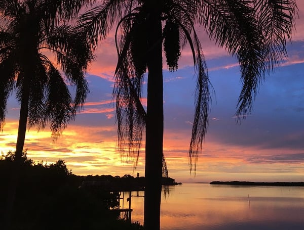 The Tampa Bay area of Florida is a beautiful place to live, and there are lots of scenic drives and wonderful day trips you can take around the region. Here are some of the best.