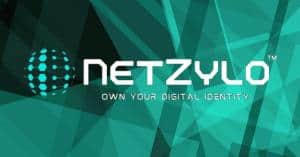 13301835 netzylo media 2 300x157 1