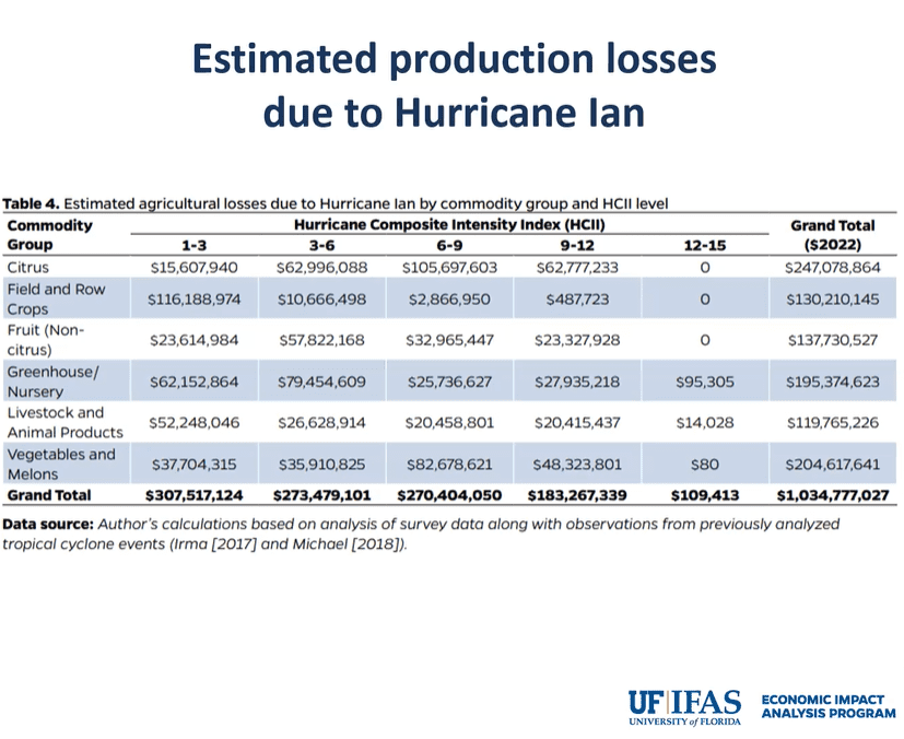 After months of gathering and analyzing data, University of Florida economists have refined the estimate of agricultural losses due to Hurricane Ian: $1.03 billion.