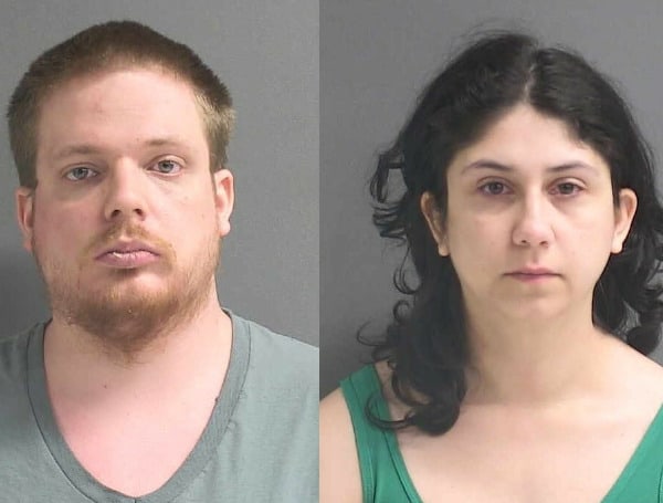 A Florida couple has been arrested for the sexual abuse of two children under the age of 12.