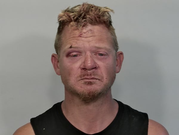 A 41-year-old Florida man was arrested Wednesday for hitting and kicking Deputies after they found him sleeping in a bush.